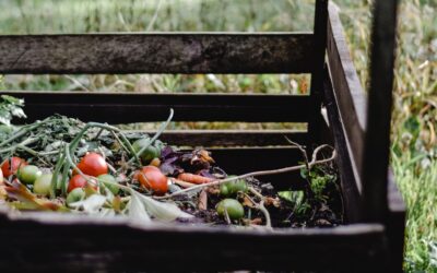 Is Composting Right For You?